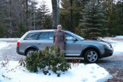 allroad