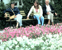Fresh flowers are planted in every park in the city.