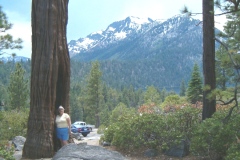 We thought this was a big tree.  We hadn't seen the redwoods yet!